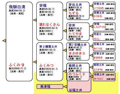 shirayuki-ketto.gif