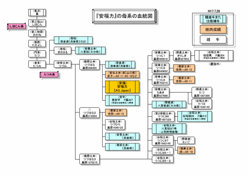 yasufukuriki-family.gif